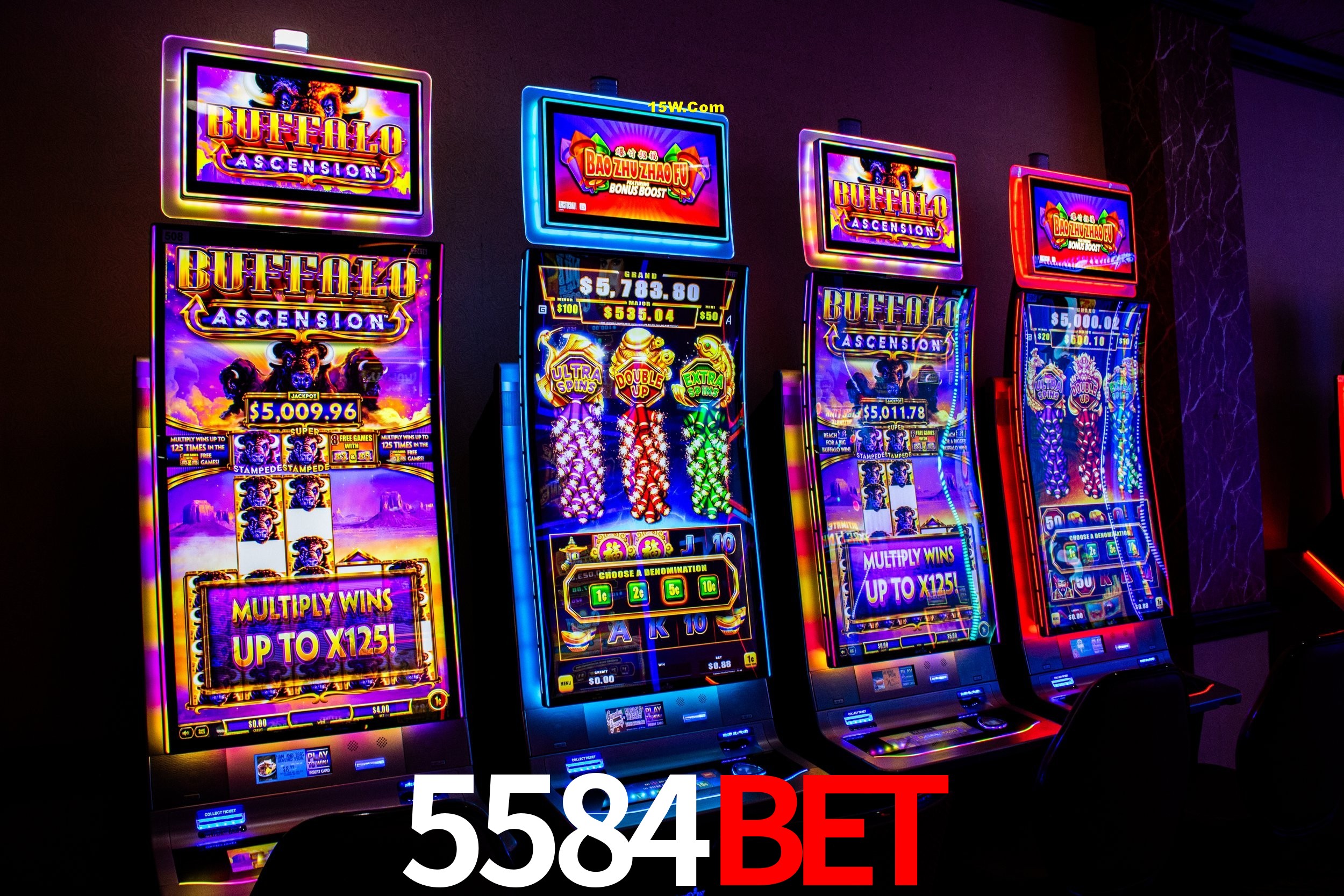 Statistics 5584Bet